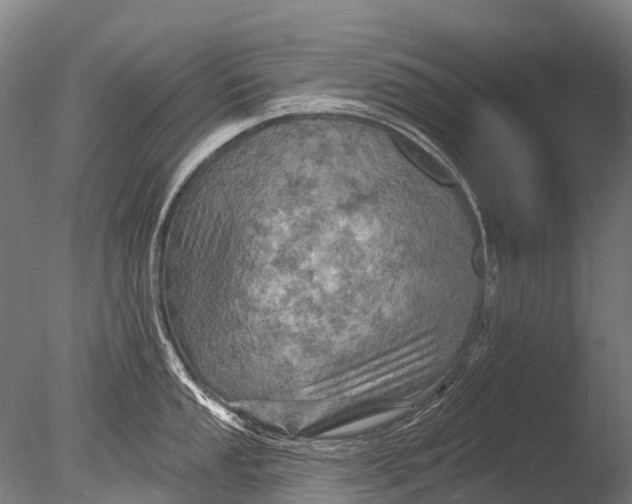 X0000085061053200703261159