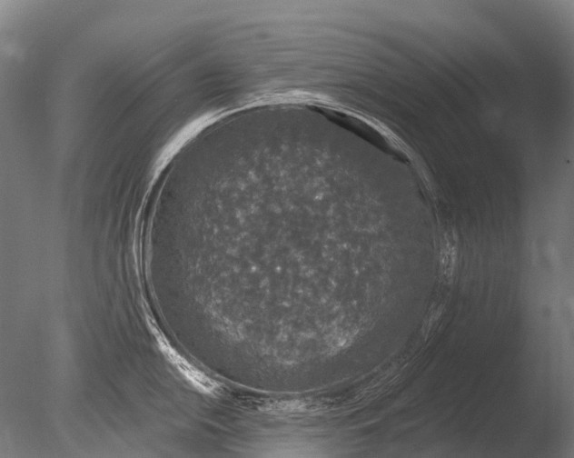 X0000085061054200703261159