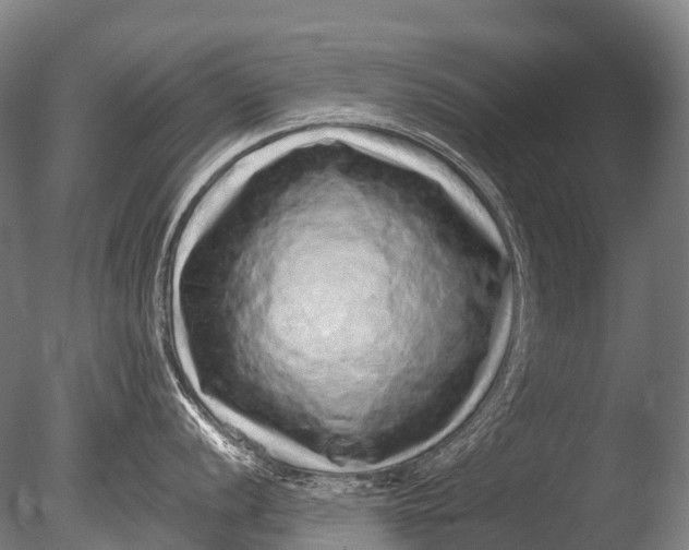 X0000085061056200703261159