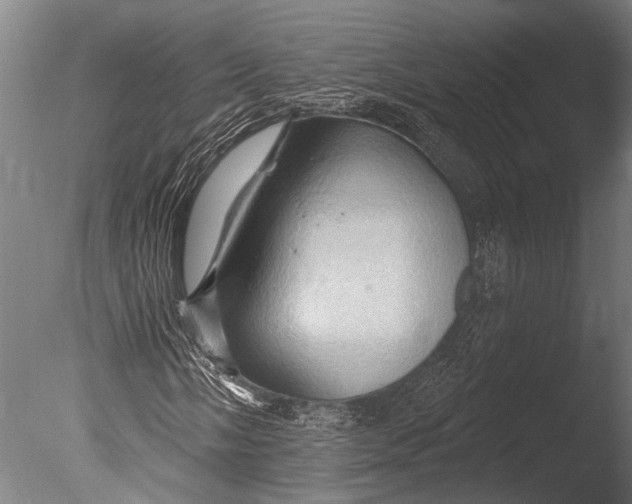 X0000085061058200703261159