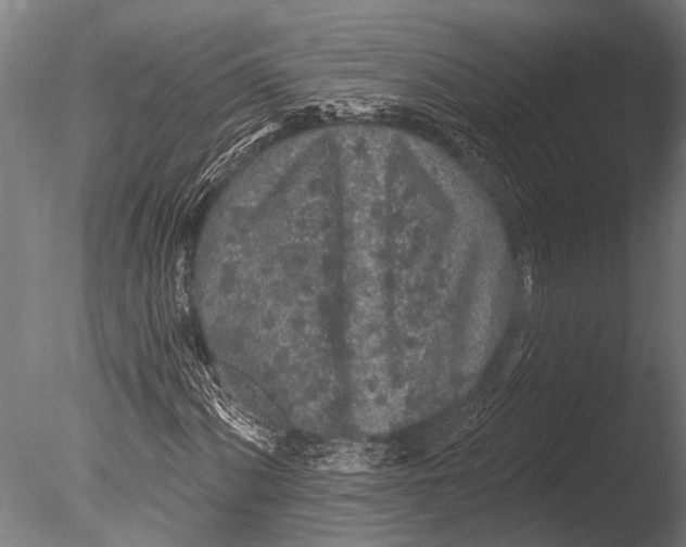 X0000085061060200703261158