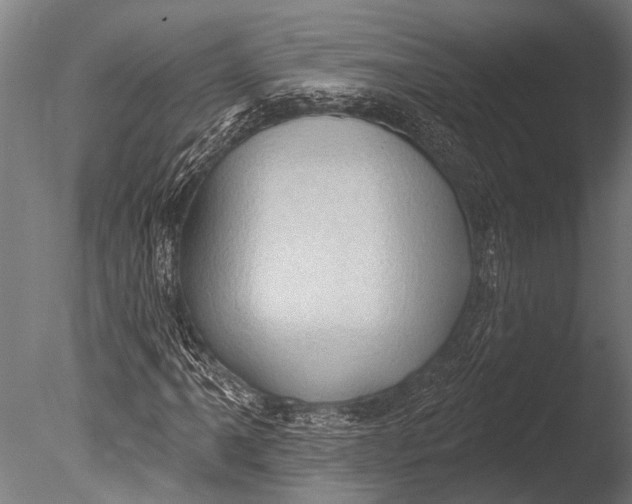 X0000085061061200703261158