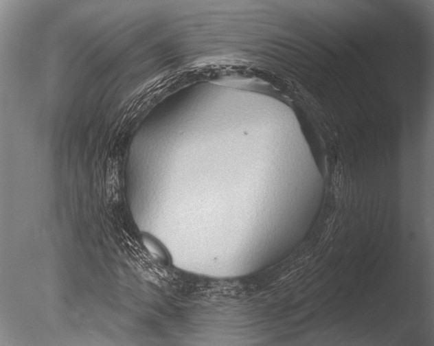 X0000085061062200703261158