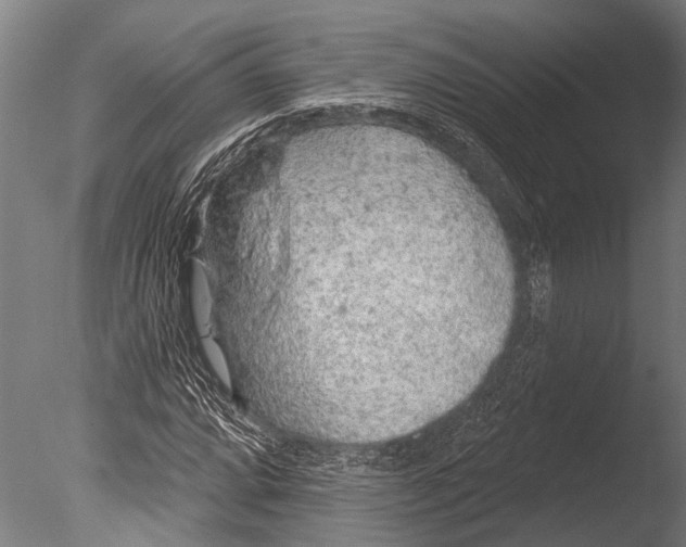 X0000085061064200703261158