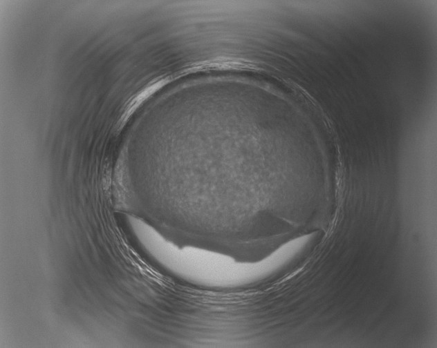 X0000085061065200703261158