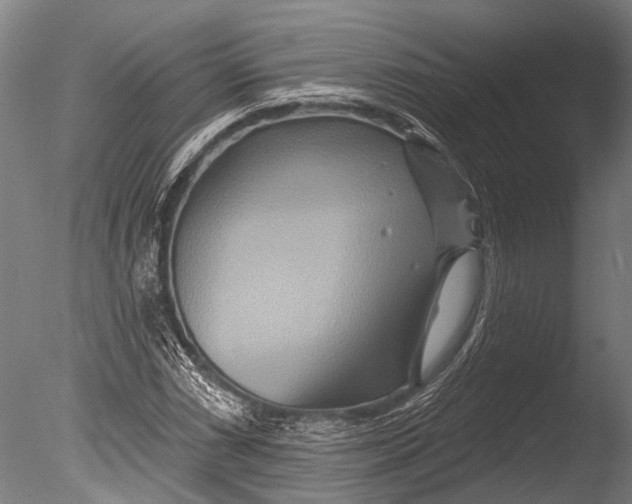 X0000085061066200703261158