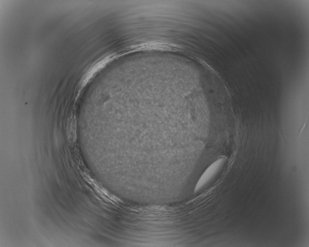 X0000085061067200703261158