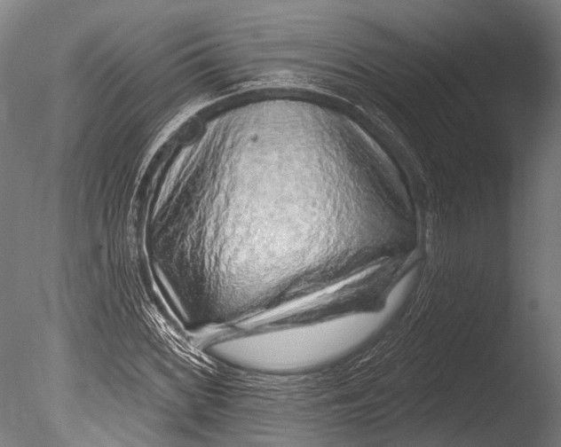 X0000085061068200703261158