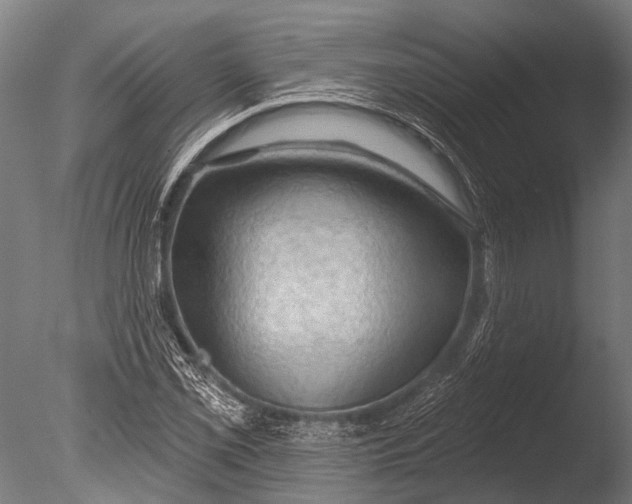 X0000085061069200703261158