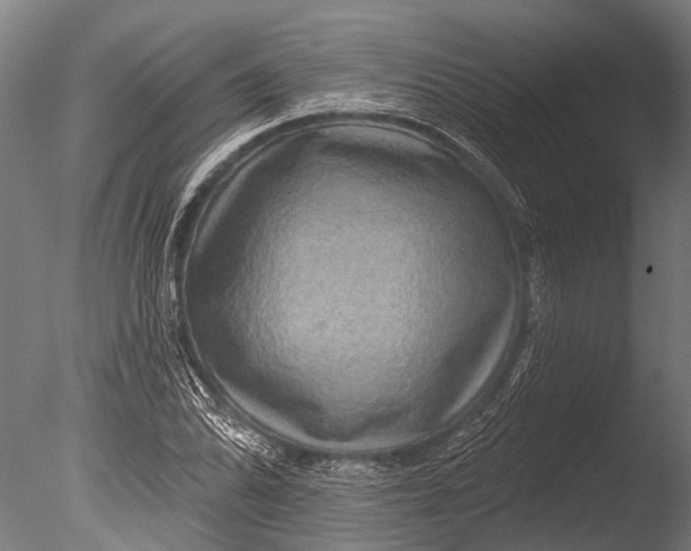 X0000085061070200703261158