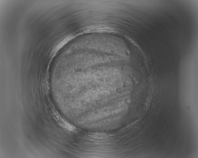 X0000085061071200703261158