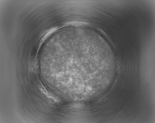 X0000085061074200703261158