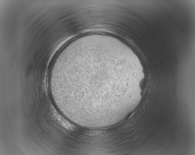 X0000085061076200703261158