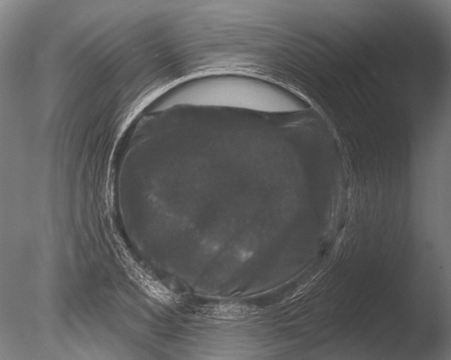 X0000085061077200703261158