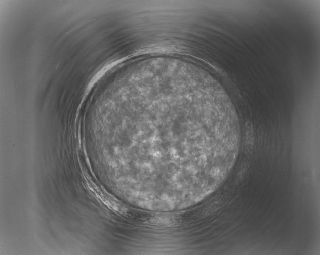 X0000085061078200703261158