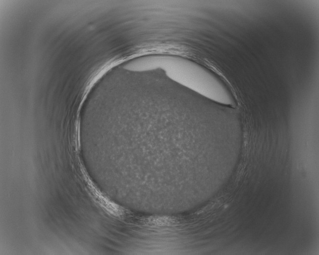 X0000085061079200703261158