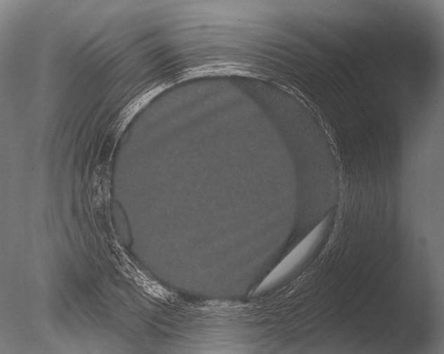 X0000085061081200703261158