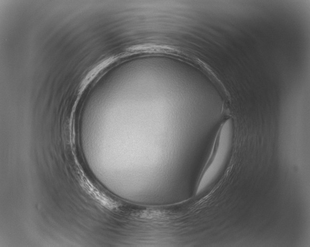 X0000085061082200703261158