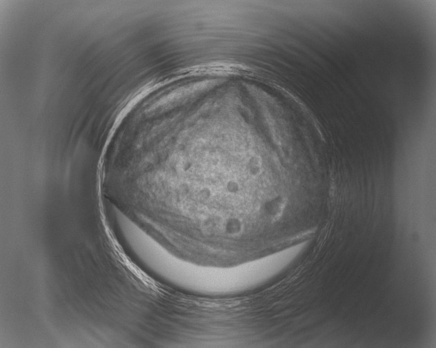 X0000085061083200703261158