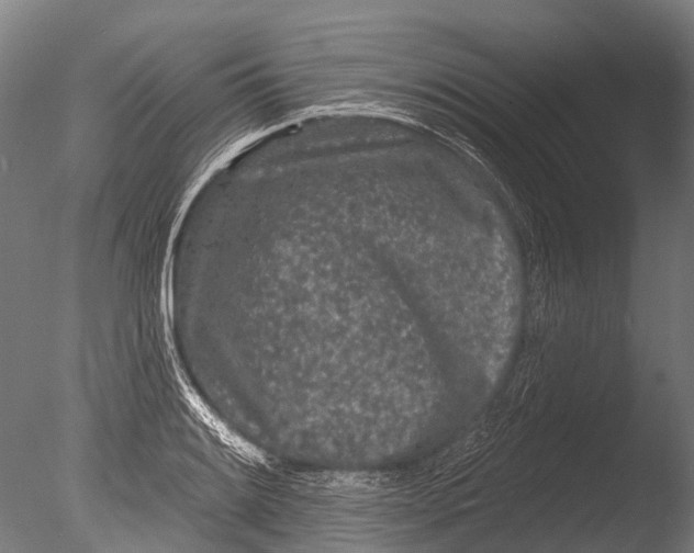 X0000085061084200703261158