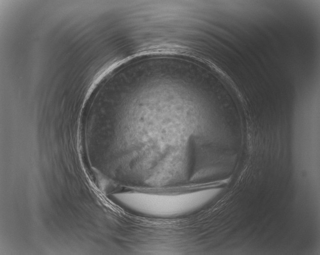 X0000085061085200703261158