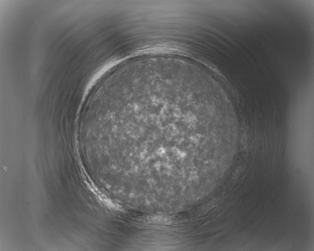 X0000085061086200703261158