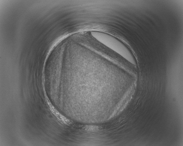 X0000085061088200703261158