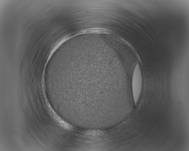 X0000085061091200703261158