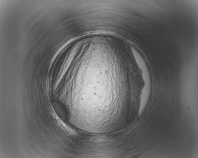 X0000085061092200703261158