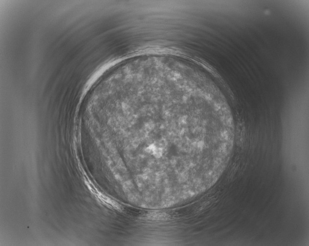 X0000085061094200703261158