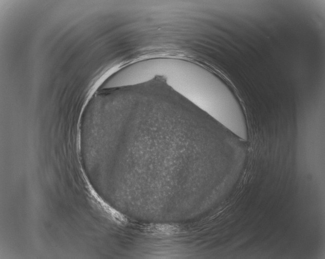 X0000085061095200703261158