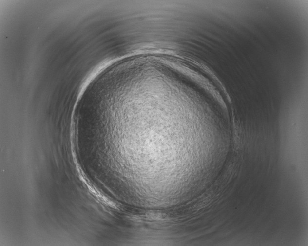 X0000085061096200703261158