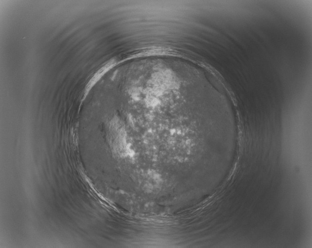 X0000085061097200703261158