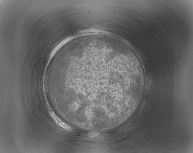 X0000085061098200703261158