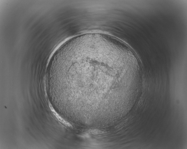 X0000085061100200703261158