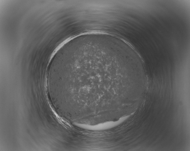 X0000085061101200703261158