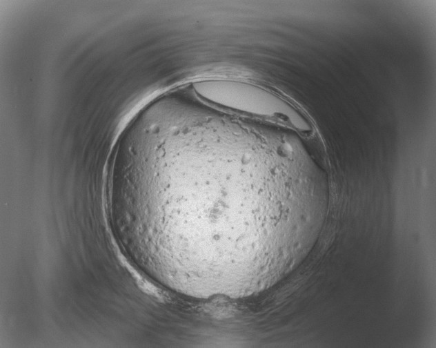 X0000085061103200703261158