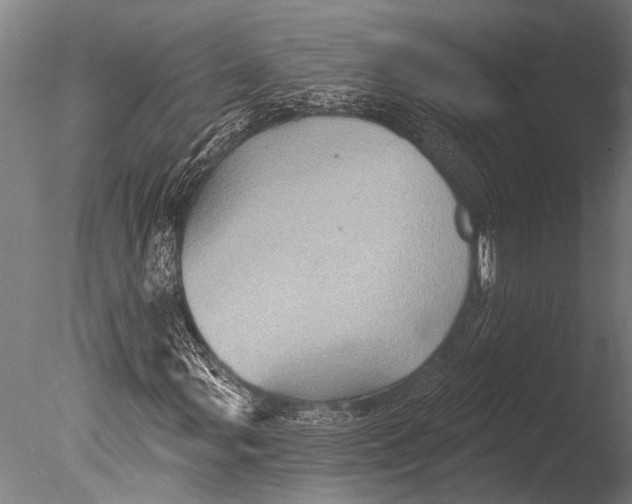 X0000085061107200703261157