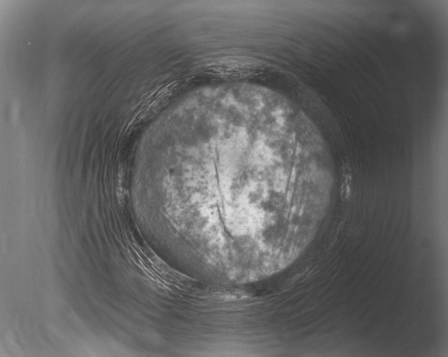 X0000085061108200703261157