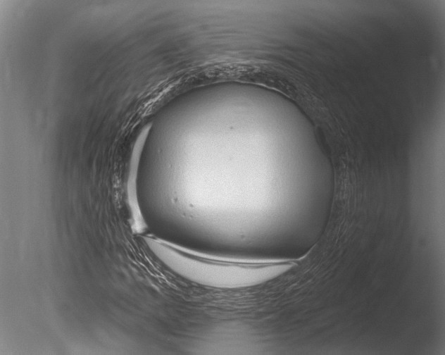 X0000085061109200703261157