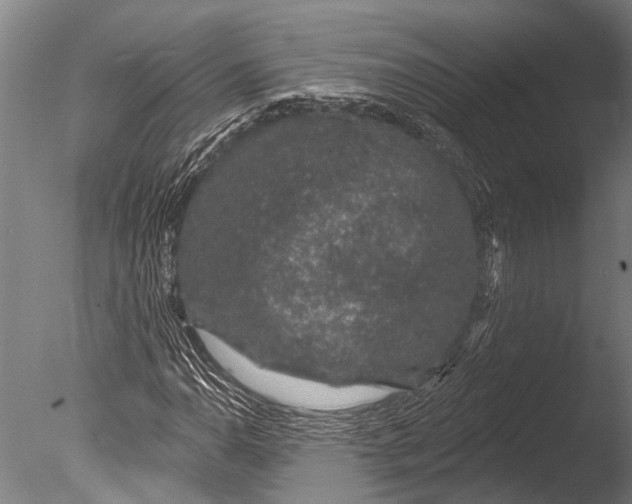 X0000085061110200703261157