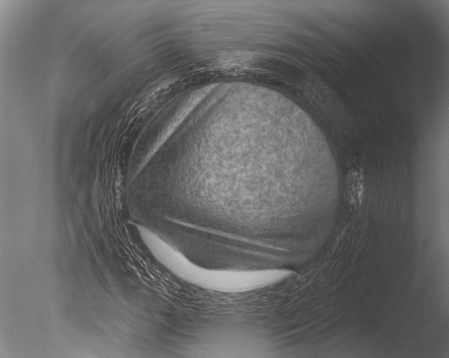 X0000085061111200703261157