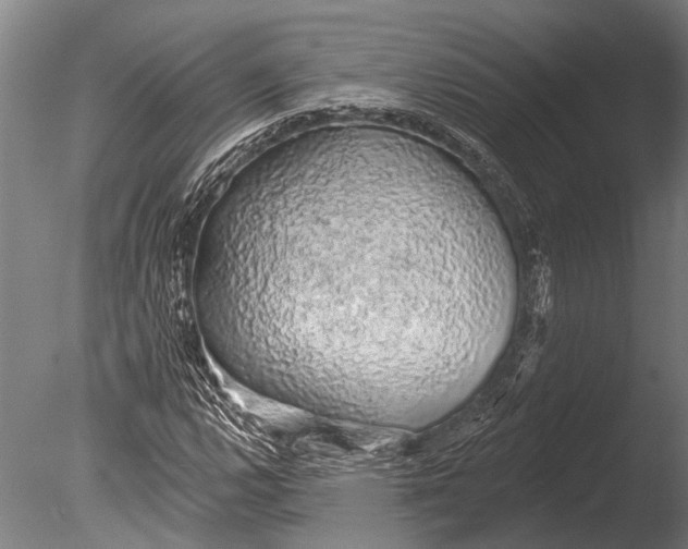 X0000085061112200703261157