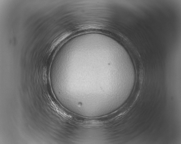 X0000085061113200703261157