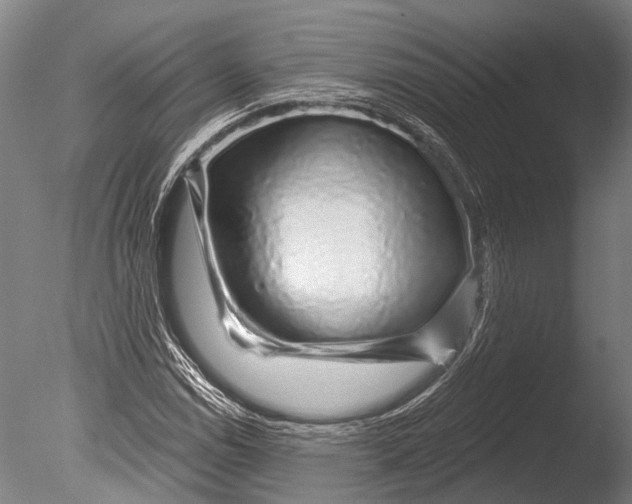 X0000085061114200703261157