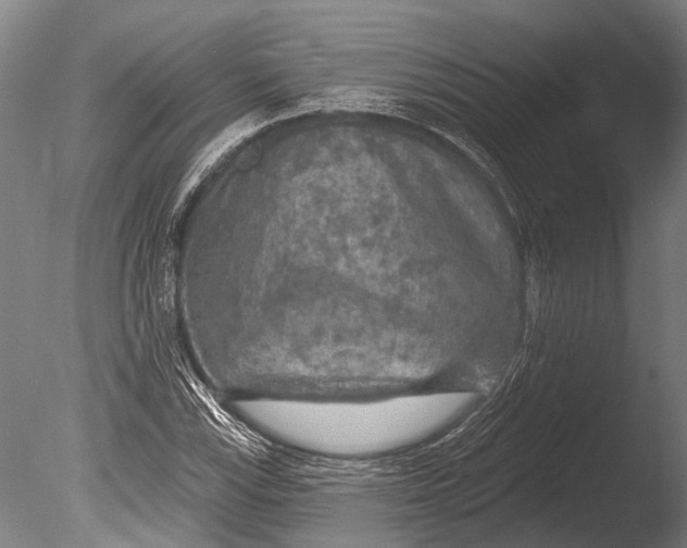 X0000085061115200703261157