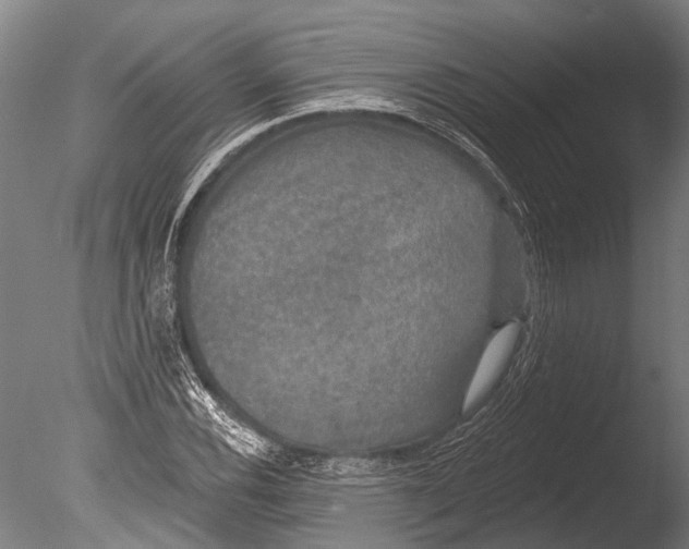 X0000085061116200703261157