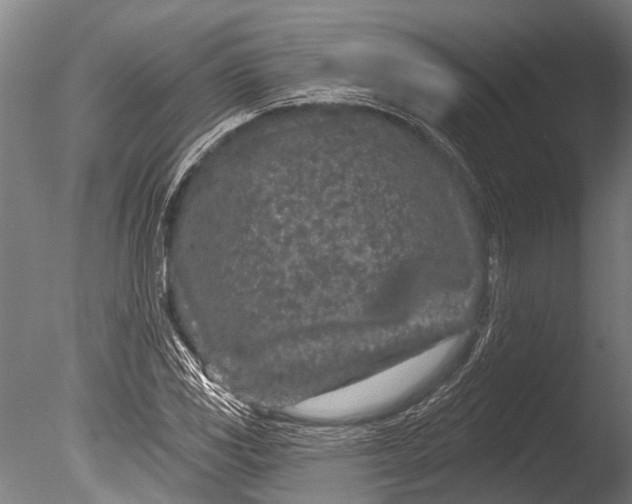 X0000085061117200703261157