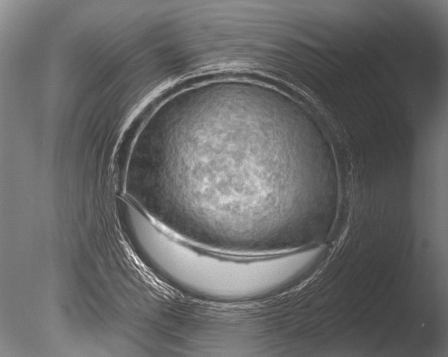 X0000085061118200703261157