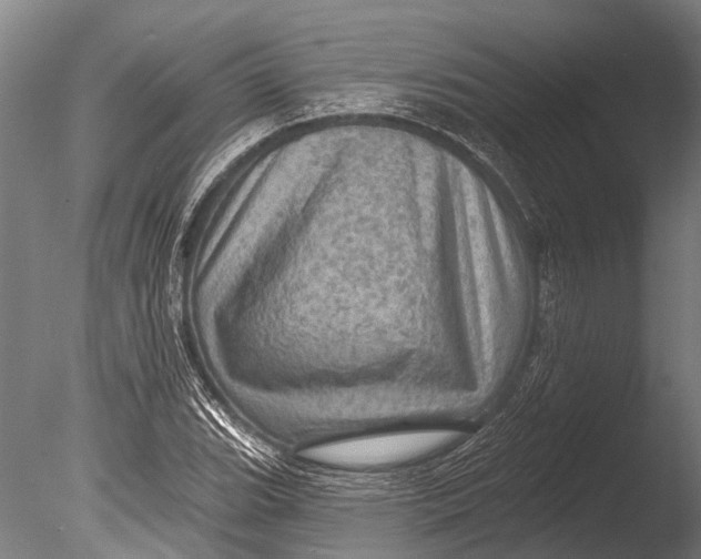 X0000085061119200703261157